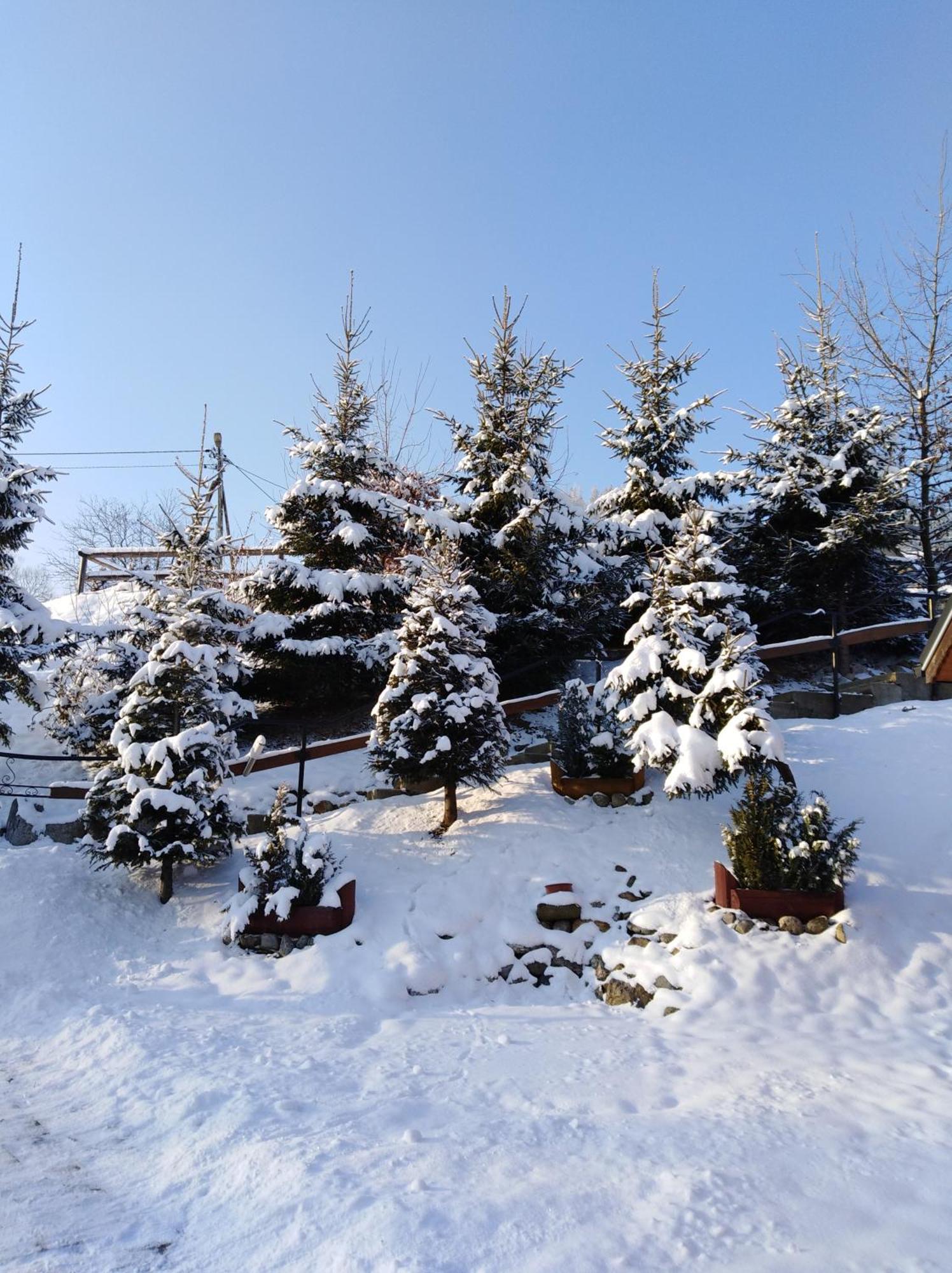 Inksy Domek Harenda Zakopane Dış mekan fotoğraf