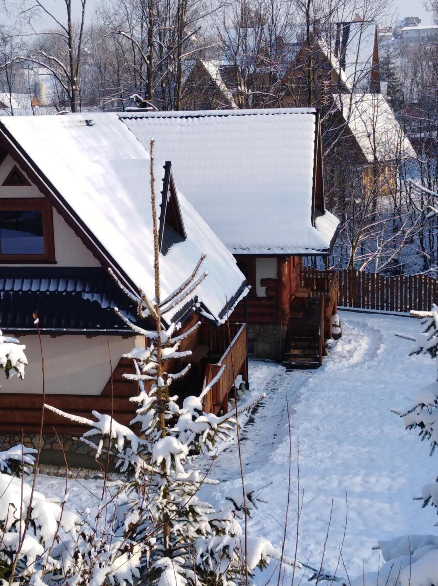 Inksy Domek Harenda Zakopane Dış mekan fotoğraf